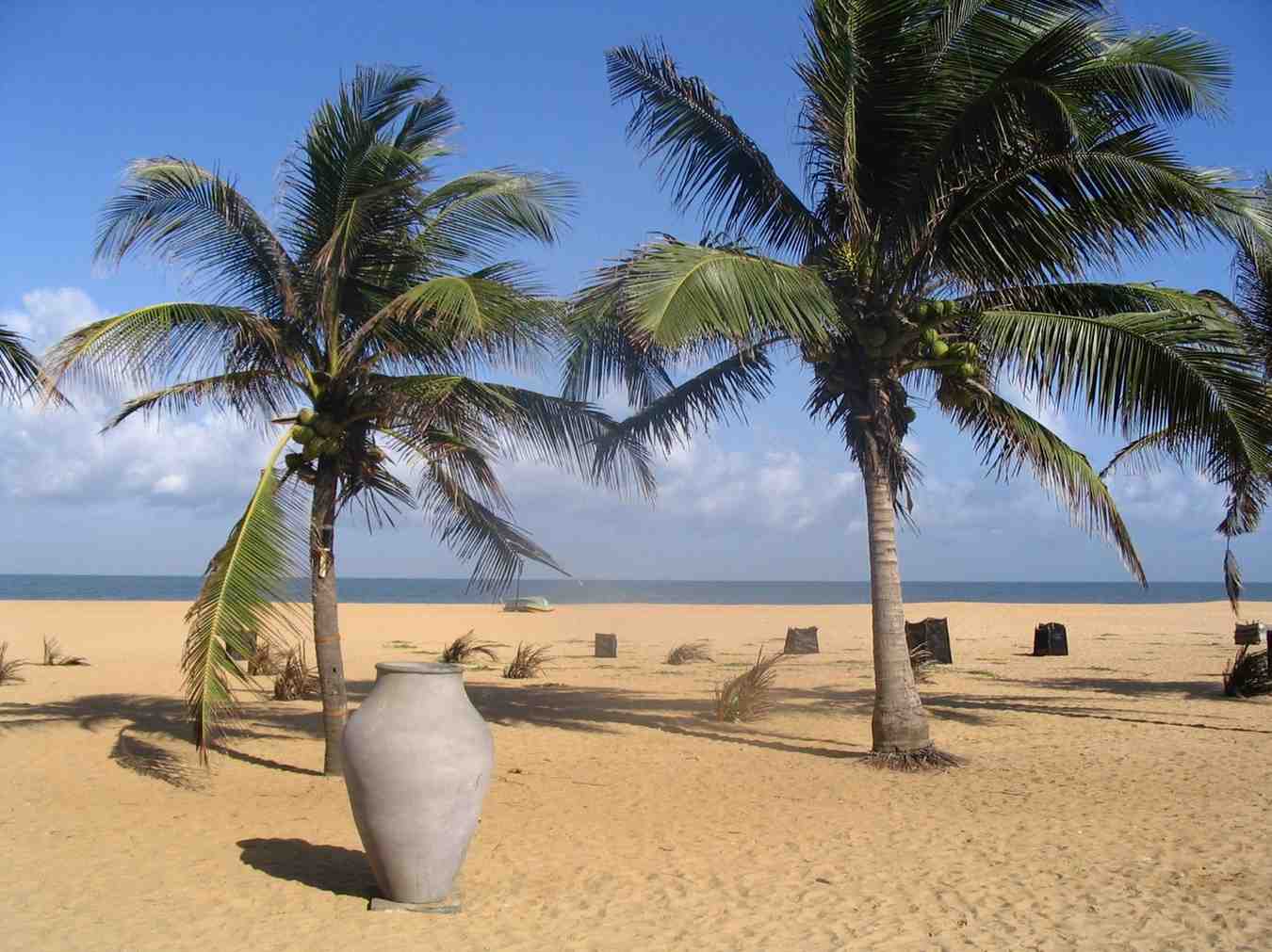 Magical Sri Lanka Journey